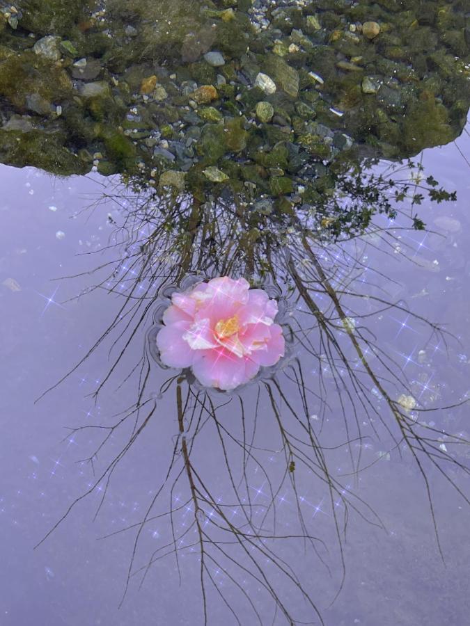 Shiga Biwa Lake Shanshui House Takashima Екстериор снимка