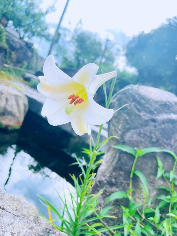 Shiga Biwa Lake Shanshui House Takashima Екстериор снимка